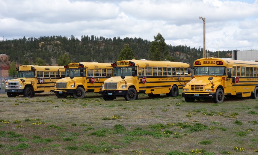 Школы в США не смогут нормально заработать в сентябре из-за нехватки водителей школьных автобусов.